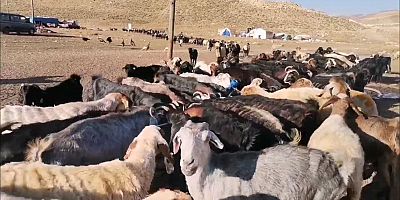 KAHRAMANMARAŞ’TA GÖÇERLER DÖNÜŞ YOLUNDA