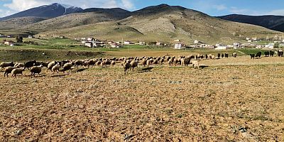 KAHRAMANMARAŞ’TA GÖÇERLER YAYLAYA ÇIKTI