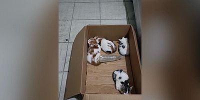 KAHRAMANMARAŞ'TA İTFAİYE EKİPLERİ SEFERBER OLDU 