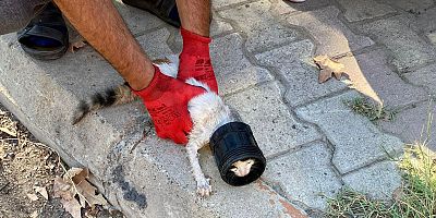 KAHRAMANMARAŞ’TA KAFASI SIKIŞAN KEDİ İTFAİYE EKİPLERİNCE KURTARILDI