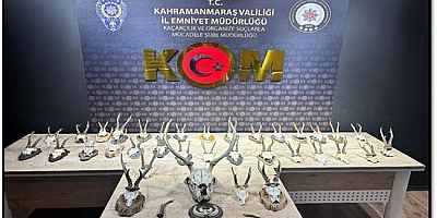 -KAHRAMANMARAŞ’TA KARACA VE GEYİK TROFESİ KAÇAKÇILIĞI OPERASYONU