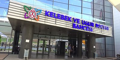 -KAHRAMANMARAŞ’TA KELEBEK ETKİSİ