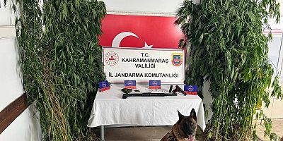 KAHRAMANMARAŞ’TA KENEVİR OPERASYONU
