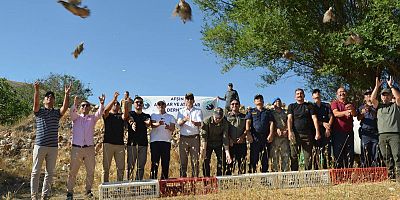 KAHRAMANMARAŞ’TA KINALI KEKLİKLER DOĞAYA KANAT AÇIYOR