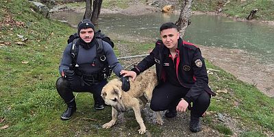 KAHRAMANMARAŞ’TA MAHSUR KALAN KÖPEK KURTARILDI