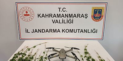 KAHRAMANMARAŞ’TA MISIR TARLASINDA KENEVİR OPERASYONU 