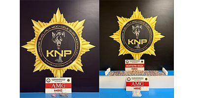 KAHRAMANMARAŞ’TA NARKOTİK OPERASYONU