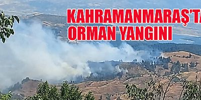 KAHRAMANMARAŞ’TA ORMAN YANGINI: EKİPLER YANGINA MÜDAHAHEL EDİYOR 