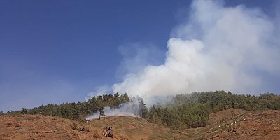 KAHRAMANMARAŞ’TA ORMAN YANGINI KORKUTTU