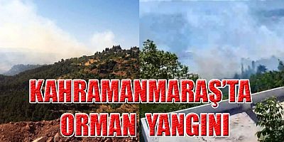 KAHRAMANMARAŞ’TA ORMAN YANGINI KORKUTUYOR
