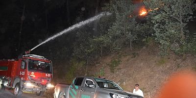 KAHRAMANMARAŞ'TA ORMAN YANGINI TAMAMEN SÖNDÜRÜLDÜ