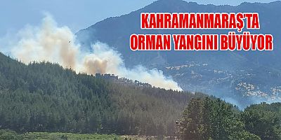 KAHRAMANMARAŞ'TA ORMAN YANGINI