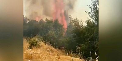 KAHRAMANMARAŞ’TA ORMAN YANGINI