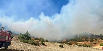 KAHRAMANMARAŞ'TA ORMAN YANGINI