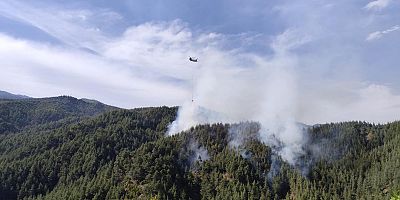 KAHRAMANMARAŞ’TA ORMAN YANGINI