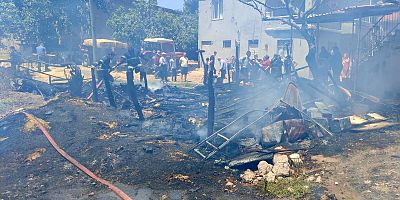 KAHRAMANMARAŞ'TA ORMAN YANGINI