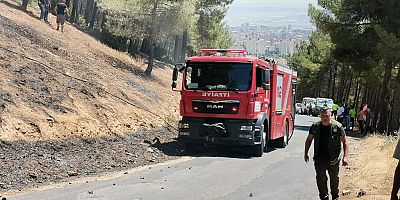 KAHRAMANMARAŞ'TA ORMAN YANGINI