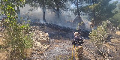 KAHRAMANMARAŞ’TA ORMANLIK ALANDA ÇIKAN YANGIN SÖNDÜRÜLDÜ
