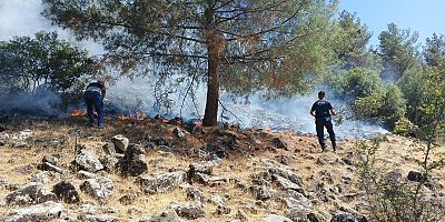 KAHRAMANMARAŞ’TA PİKNİK YAPMAK İSTEDİLER ORMANI YAKTILAR