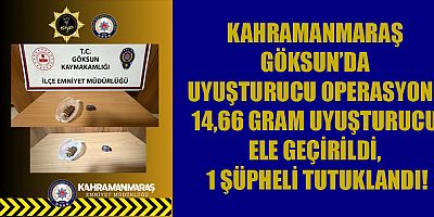 KAHRAMANMARAŞ’TA POLİSTEN ORTAK UYUŞTURUCU OPERASYONU