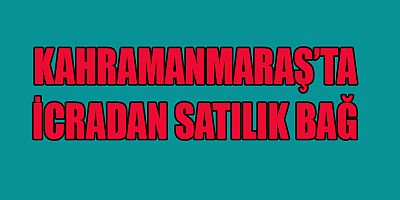 KAHRAMANMARAŞ’TA  SATILIK BAĞ