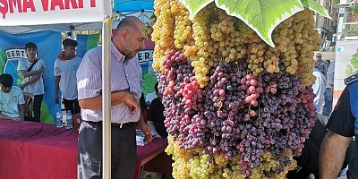 KAHRAMANMARAŞ’TA ŞIRA FESTİVALİ 