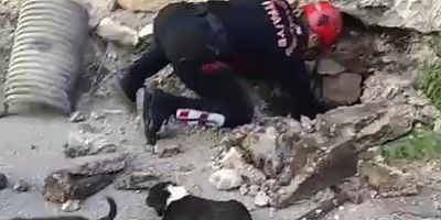 KAHRAMANMARAŞ’TA SU GİDERİNE SIKIŞAN KÖPEK YAVRULARI KURTARILDI