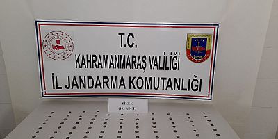 KAHRAMANMARAŞ’TA TARİHİ ESER OPERASYONU: 1 GÖZALTI