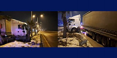 KAHRAMANMARAŞ'TA TIR KONTROLDEN ÇIKTI: AĞACA ÇARPTI, MADDİ HASAR MEYDANA GELDİ