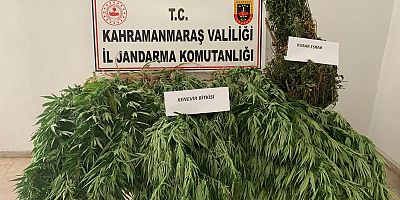 KAHRAMANMARAŞ’TA UYUŞTURUCU OPERASYONU: 1 GÖZALTI