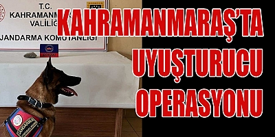 KAHRAMANMARAŞ’TA UYUŞTURUCU OPERASYONU