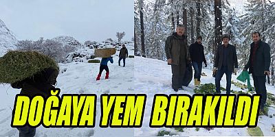 KAHRAMANMARAŞ’TA YABAN HAYVANLARI İÇİN DOĞAYA YEMVE YONCA  BIRAKILDI