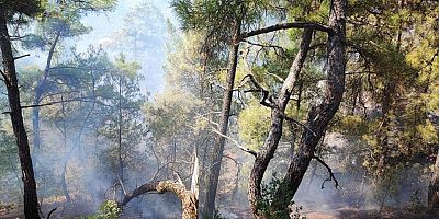 KAHRAMANMARAŞ’TA  YANGIN KORKUTTU