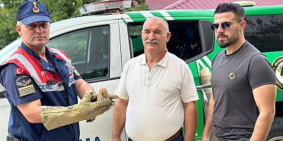 KAHRAMANMARAŞ’TA YARALI KERKENEZ KUŞUNA JANDARMA ŞEFKATİ