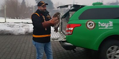 KAHRAMANMARAŞ’TA YARALI ŞAHİNE POLİS EKİPLERİ SAHİP ÇIKTI 

Kahramanmaraş’ta kanadından yaralanan Şahin’e