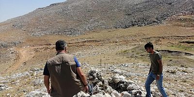KAHRAMANMARAŞ’TA YASA DIŞI  EVSİNLER YOK EDİLDİ