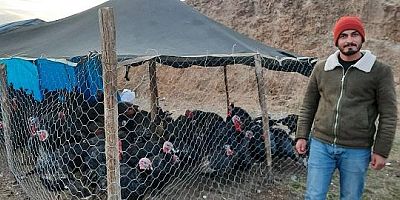 KAHRAMANMARAŞ’TA YILBAŞI HİNDİLERİ SATIŞA ÇIKTI