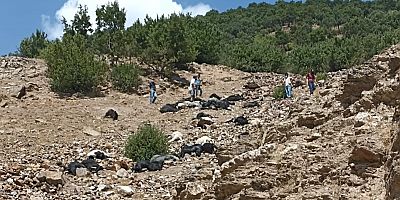 KAHRAMANMARAŞ´TA YILDIRIM DÜŞMESİ SONUCU 45 KEÇİ TELEF OLDU