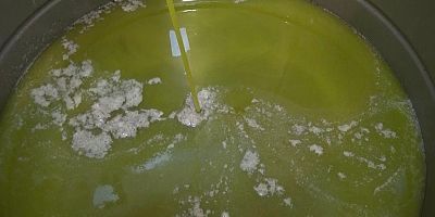 KAHRAMANMARAŞ'TA ZEYTİNYAĞI ÜRETİMİ 