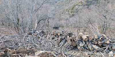 KAHRAMANMARAŞTA KAMYON DEVRİLDİ: 1ÖLÜ, 2YARALI 