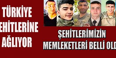 KAHREDEN HABER