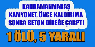 KAMYONET BETON DİREĞE ÇARPTI: 1 ÖLÜ 4’Ü ÇOCUK 5 YARALI