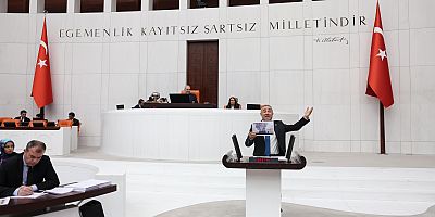 KARATUTLU:KAHRAMANMARAŞ'TA DOĞA DEĞİL RANT KORUNUYOR