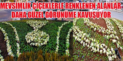 KAVŞAKLAR ÇİÇEKLERLE RENKLENİYOR