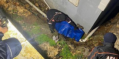 KAYBOLAN YAŞLI ADAM ÖLÜ OLARAK BULUNDU