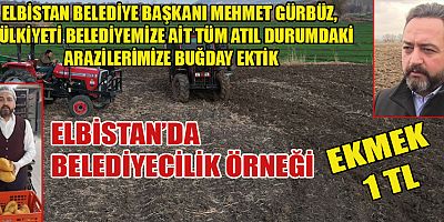 KENDİ EKTİĞİ BUĞDAY SAYESİNDE EKMEĞİ 1 TL’YE SATIYOR