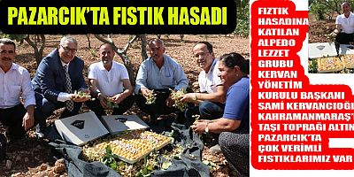 KERVANCIOĞLU, PAZARCIK’TA ÇOK VERİMLİ FISTIKLAR VAR
