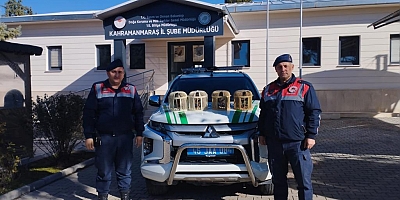 KONTEYNER KENTTE BESLELENEN KINALI KEKLİKLERE EL KONULDU 