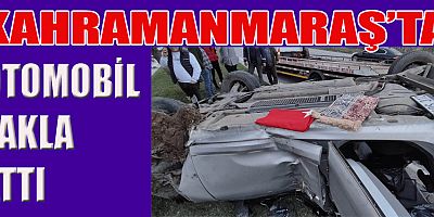 KÖPEĞE ÇARPMAMAK İÇİN MANEVRA YAPAN OTOMOBİL TAKLA ATTI