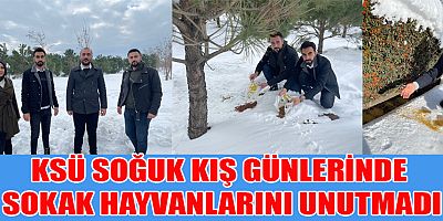 Kahramanmaraş Sütçü İmam Üniversitesi (KSÜ) soğuk ve karlı günlerde besin bulmakta zorlanan sokak hayvanlarını unutmadı.